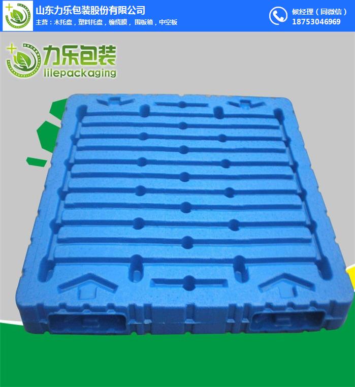 中空吹塑托盘-济南吹塑托盘-力乐包装
